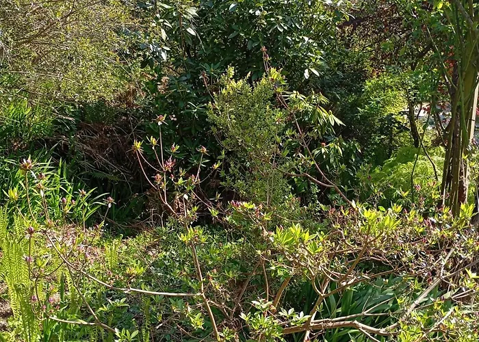 La Chartrie Holiday home *