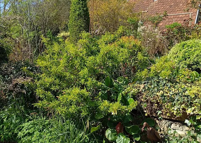 Holiday home La Chartrie *